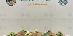 إحباط تهريب (200) كجم من القات بـالعارضة