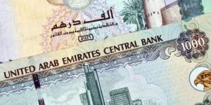 سعر الدرهم الإماراتي مقابل الجنيه المصري اليوم الإثنين 6 يناير 2025