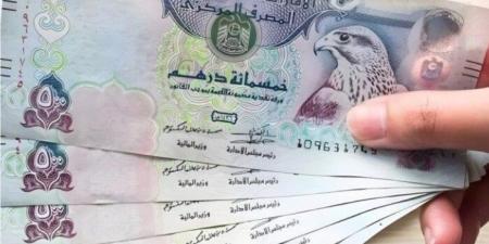 سعر الدرهم الإماراتي مقابل الجنيه المصري اليوم الأربعاء 8 يناير 2025