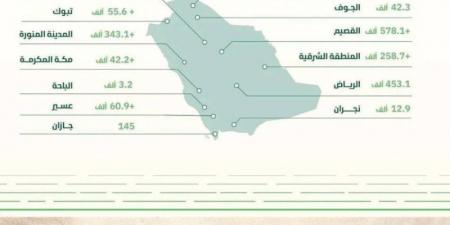 إنتاج التمور يقترب من مليوني طن