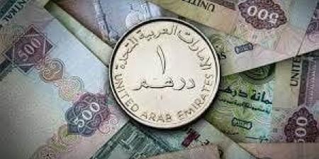 سعر الدرهم الإماراتى في مصر اليوم الأحد 19 يناير 2025