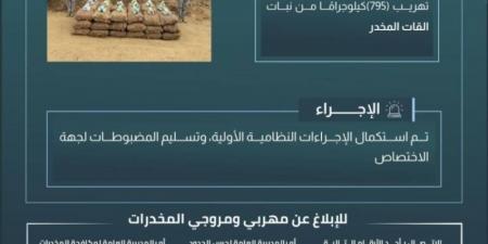 حرس الحدود بعسير يحبط تهريب (795) كيلوجرامًا من القات المخدر