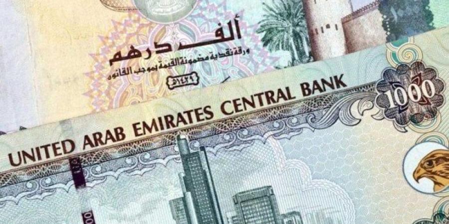 أول أيام العام الجديد.. سعر الدرهم الإماراتي بالبنوك اليوم الأربعاء 1 يناير 2025