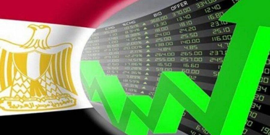 خبير اقتصادي يتوقع عائدات 30 مليار دولار من الطروحات ‏الحكومية في 2025‏