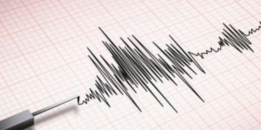 أنباء عن زلزال بقوة 4.9 درجات يضرب الأرجنتين.. ما التفاصيل؟