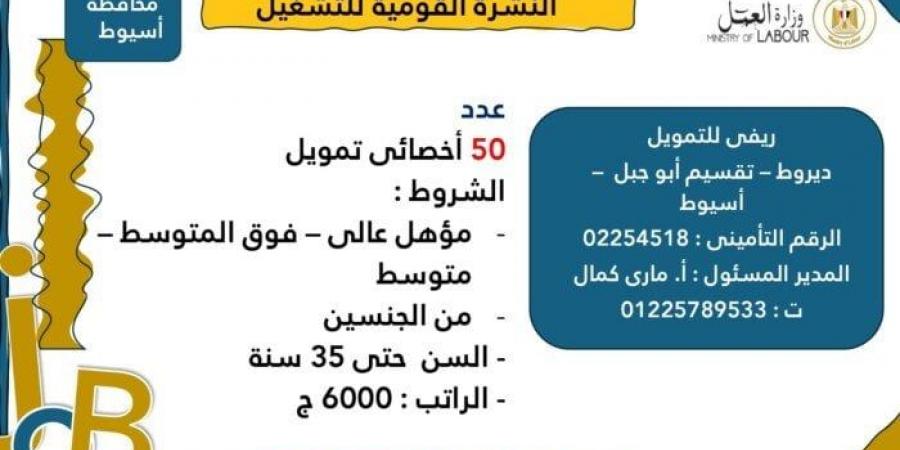 وزارة العمل تعلن عن 3215 فرصة عمل جديدة للشباب في 8 محافظات | الشروط وخطوات التقديم