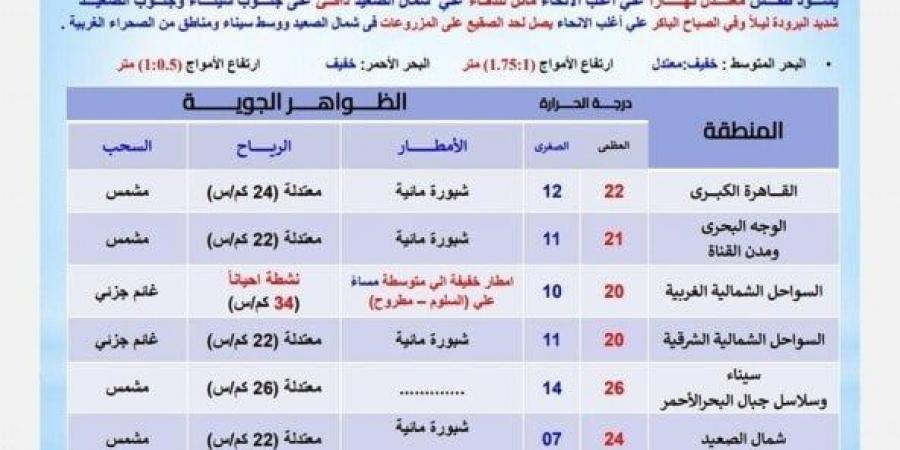 «احذرِ الشبورة».. بيان عاجل من الأرصاد بشأن حالة الطقس اليوم السبت 4 يناير 2025