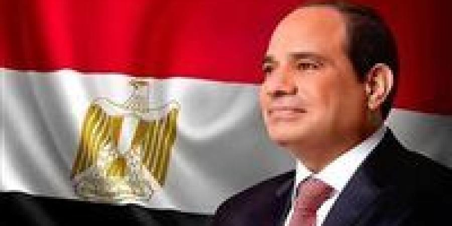 الرئيس السيسي: كل شيء بيد الله والعمل معًا لحماية مصر