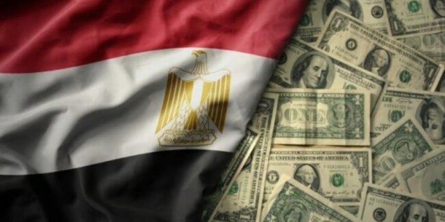 11.889 مليار دولار زيادة في احتياطيات النقد الأجنبي لدي مصر آخر 12 شهر