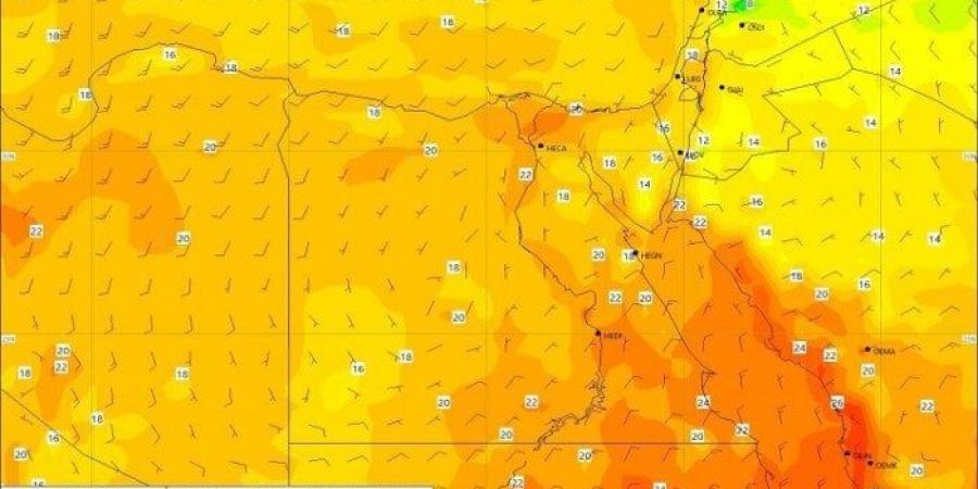 سيطرة الشبورة.. الأرصاد تكشف عن حالة الطقس اليوم الأحد 12 يناير 2025