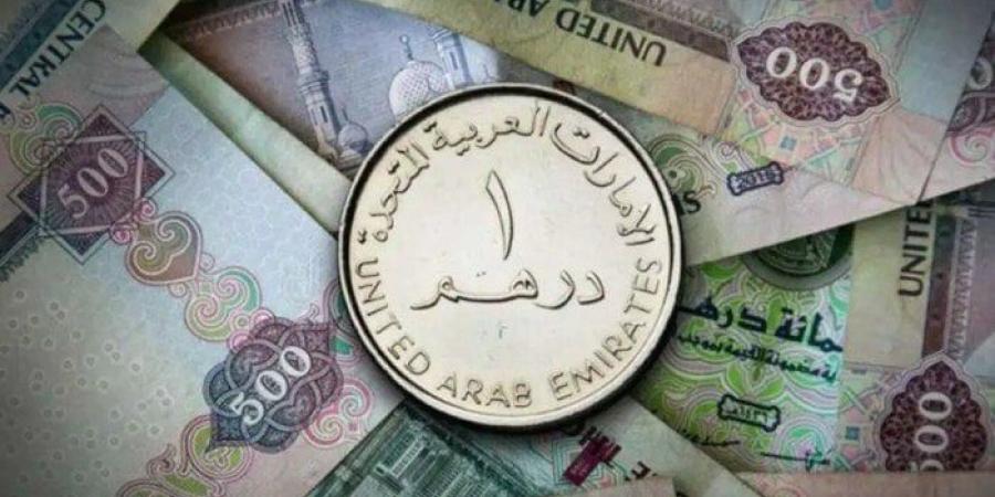 سعر الدرهم الإماراتي مقابل الجنيه المصري اليوم الإثنين 13 يناير 2025