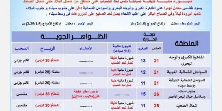 «احذرِ الشبورة».. بيان عاجل من الأرصاد بشأن حالة الطقس اليوم الخميس 16 يناير 2025