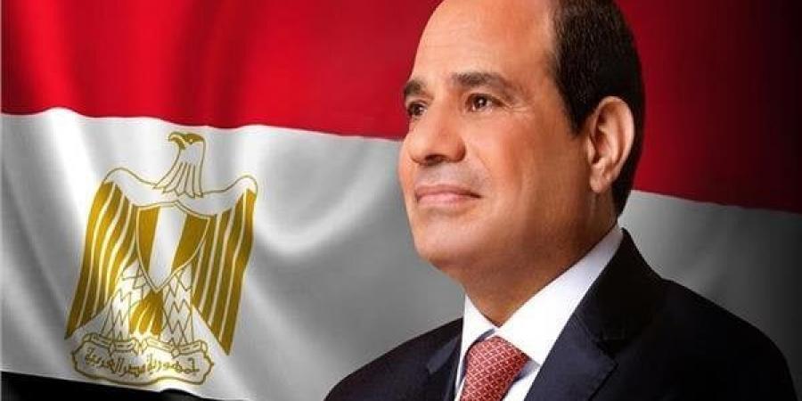 الرئيس السيسي يستعرض مع المستشار النمساوي جهود مصر لضمان تنفيذ اتفاق وقف إطلاق النار بغزة