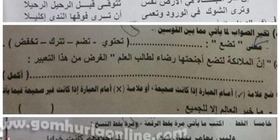 شكاوي طلاب الاعدادية بالمنوفية من صعوبة امتحان اللغة العربية